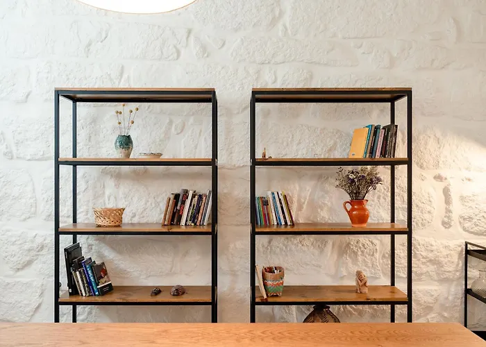 Viva Boavista Vintage House